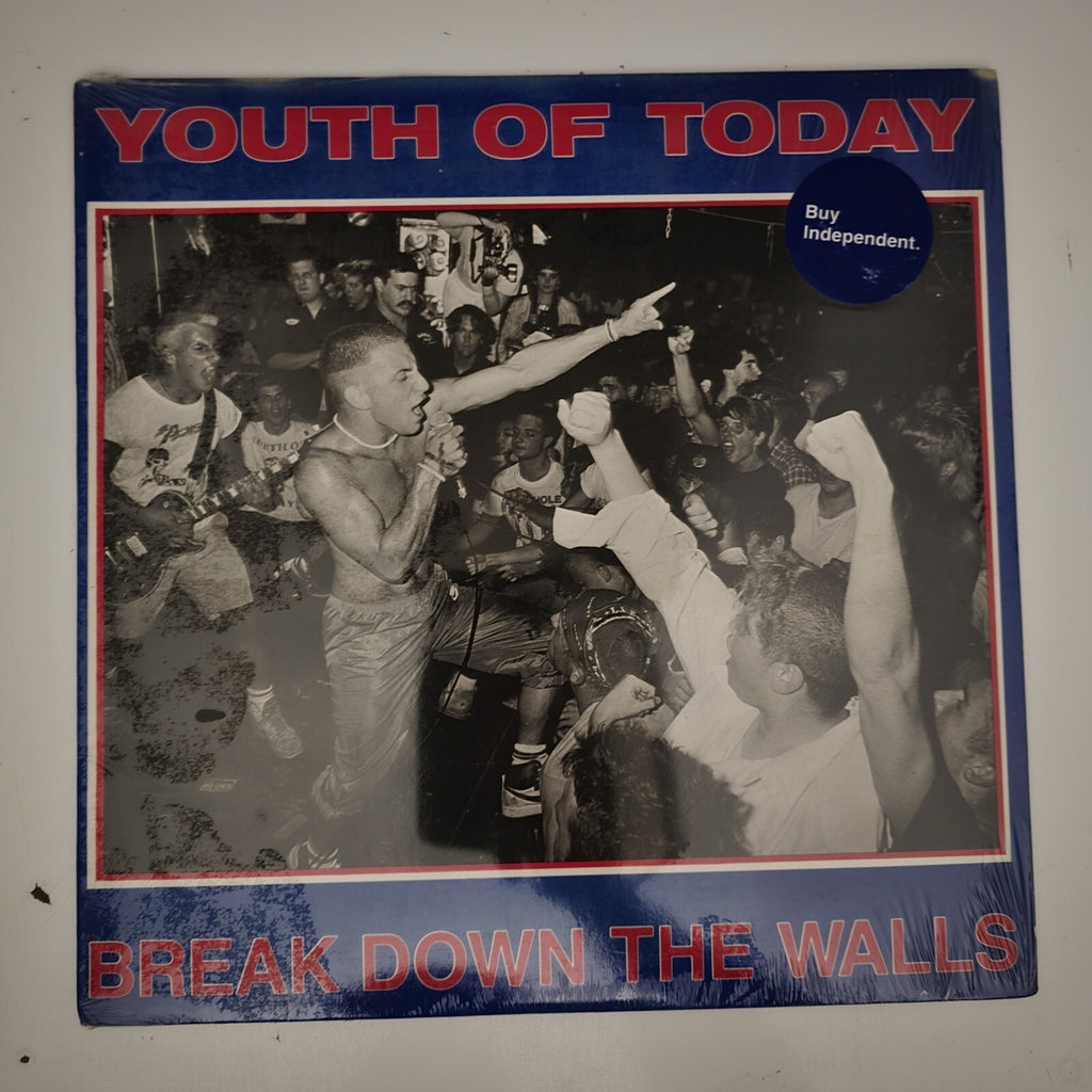 Original 1st Edition Youth Of Today Breakdown The Walls FACTORY SEALED Vinyl LP Wishingwell Records