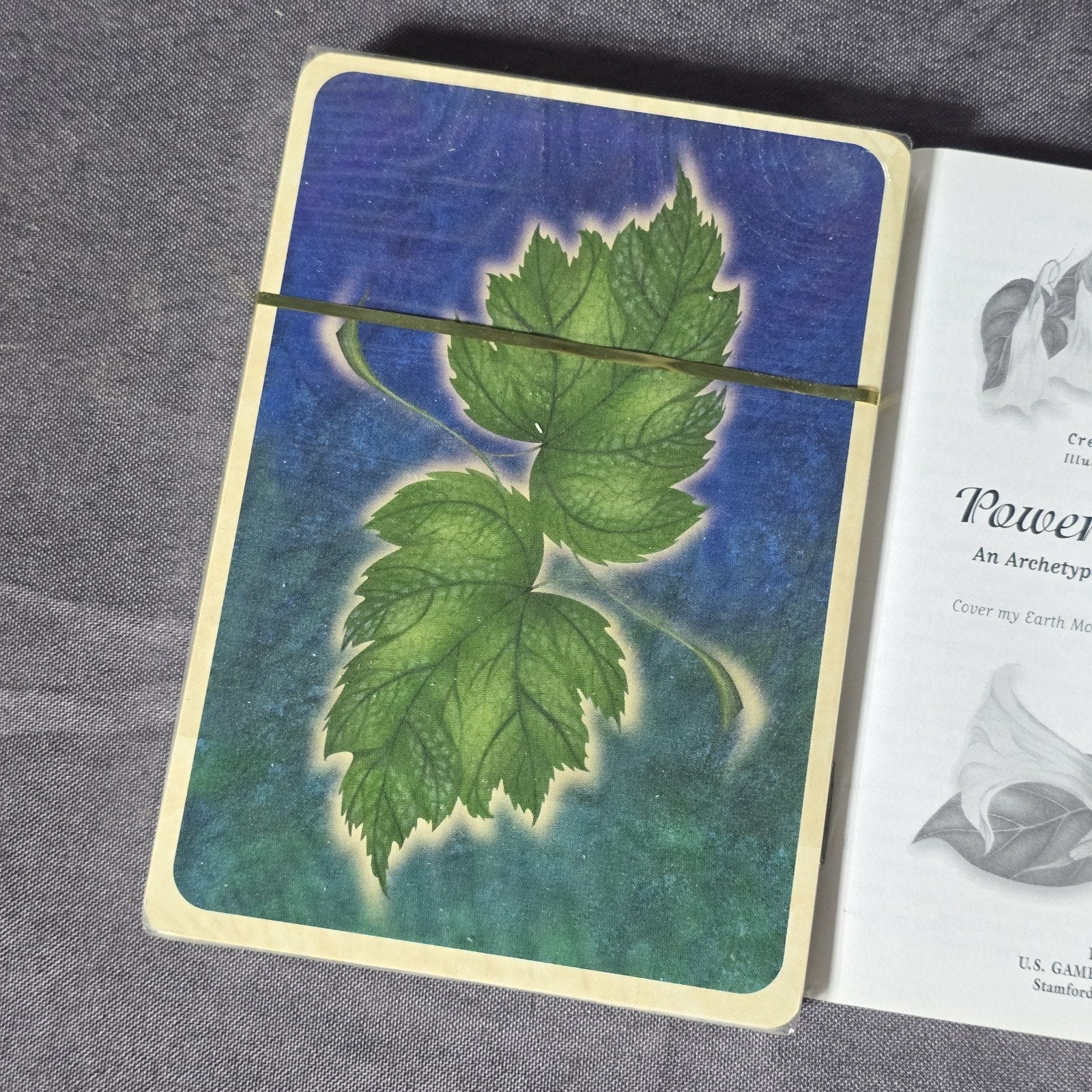 Original Power Of Flowers Tarot Card Set SEALED 1998 Isha Lerner U.S. Games