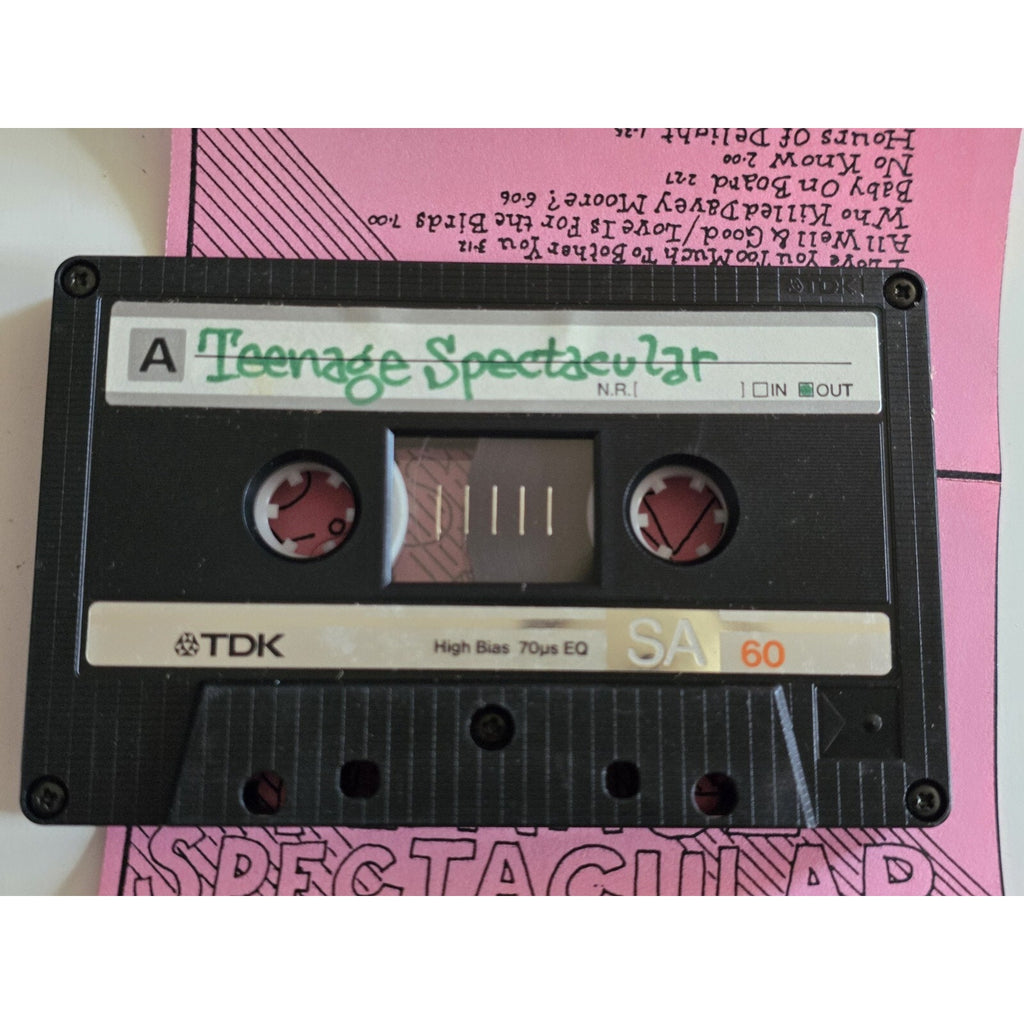 Original R. Stevie Moore Teenage Spectacular Cassette Club Tape Lo-Fi Punk Experimental