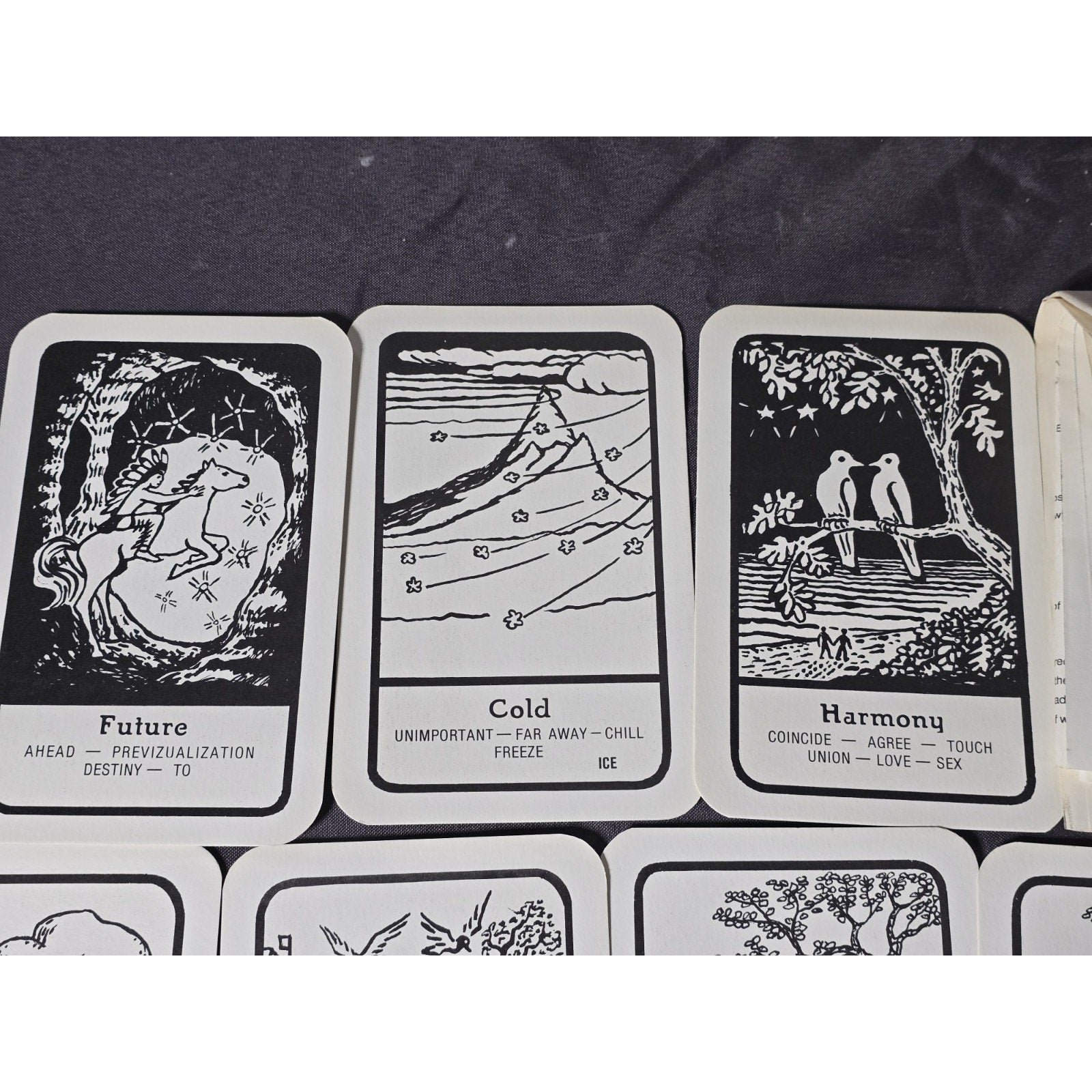 Black Eagle Tarot Nature's Omens From Dudleytown Card Deck by Allen Herkimer of Connecticut.