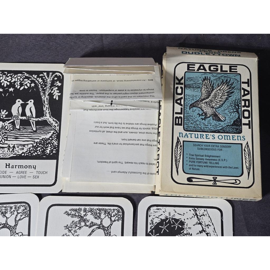 Black Eagle Tarot Nature's Omens From Dudleytown Card Deck by Allen Herkimer of Connecticut.