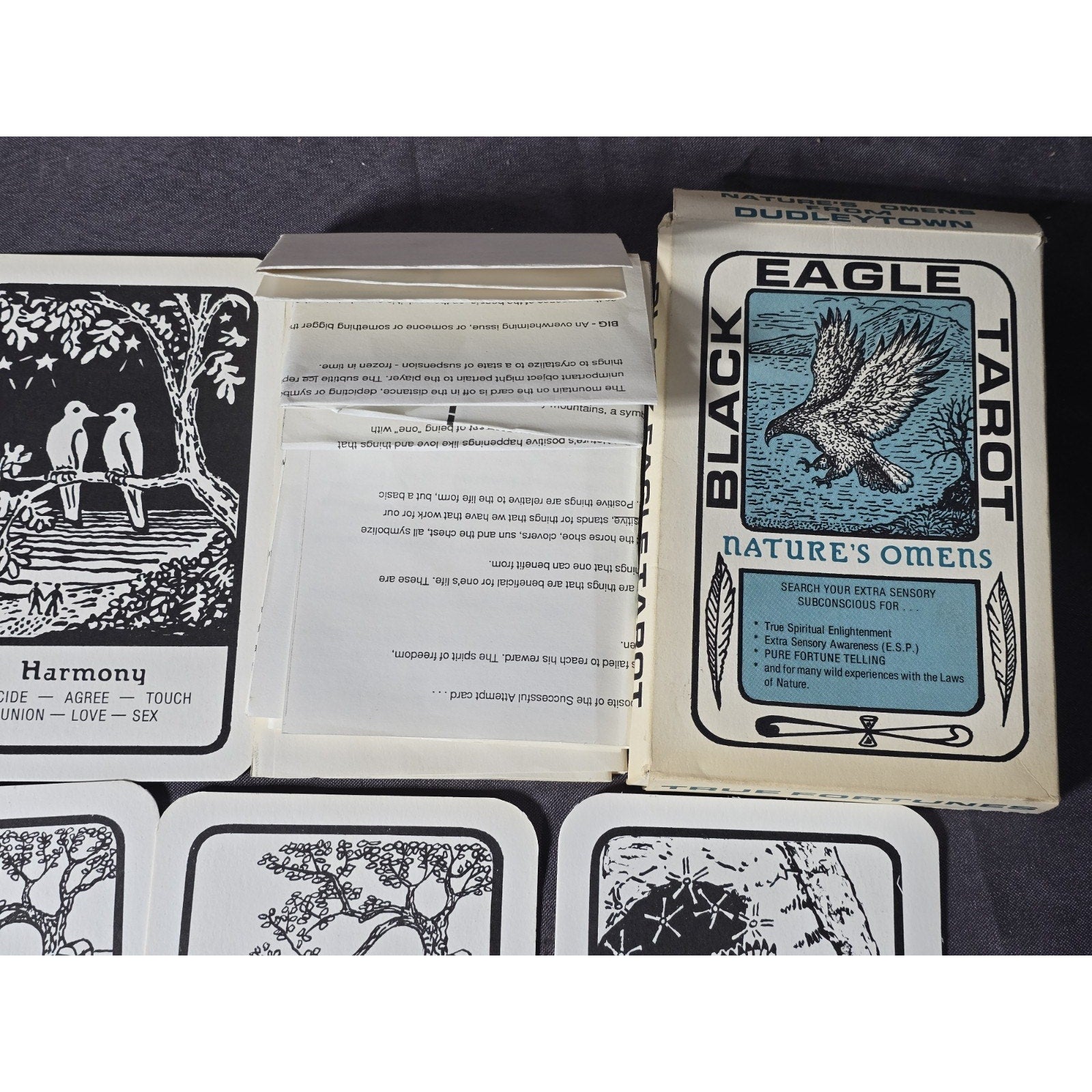 Black Eagle Tarot Nature's Omens From Dudleytown Card Deck by Allen Herkimer of Connecticut.